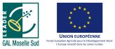 Logo-LEADER-GAL-Moselle-Sud-+-UE-FEADER-petit-format