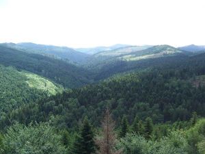 La chaîne des Vosges mosellanes - Pays de Sarrebourg
